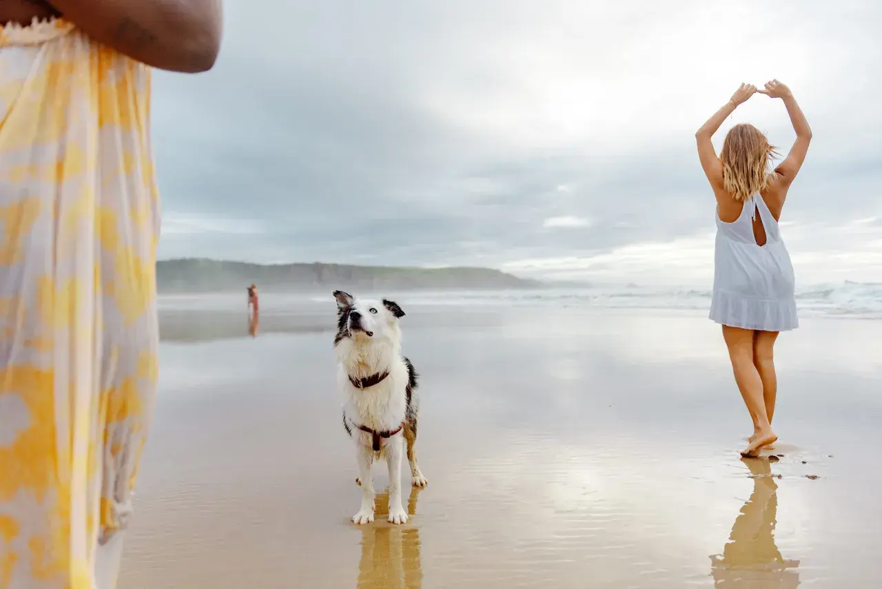 Ein Hund genießt den Urlaub am Strand, während zwei Frauen im Wasser spielen.