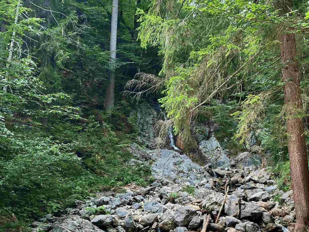 Ein kleiner, versteckter eibsee wasserfall stürzt über bemooste Felsen in einem dichten, grünen Wald.