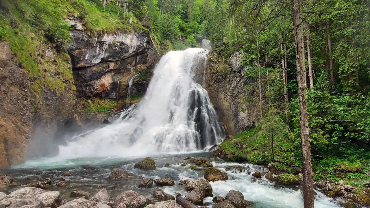 Tosender Wasserfall im Teutoburger Wald, umgeben von Felsen und üppigem Grün. Das Wasser stürzt tosend in ein türkisfarbenes Becken.