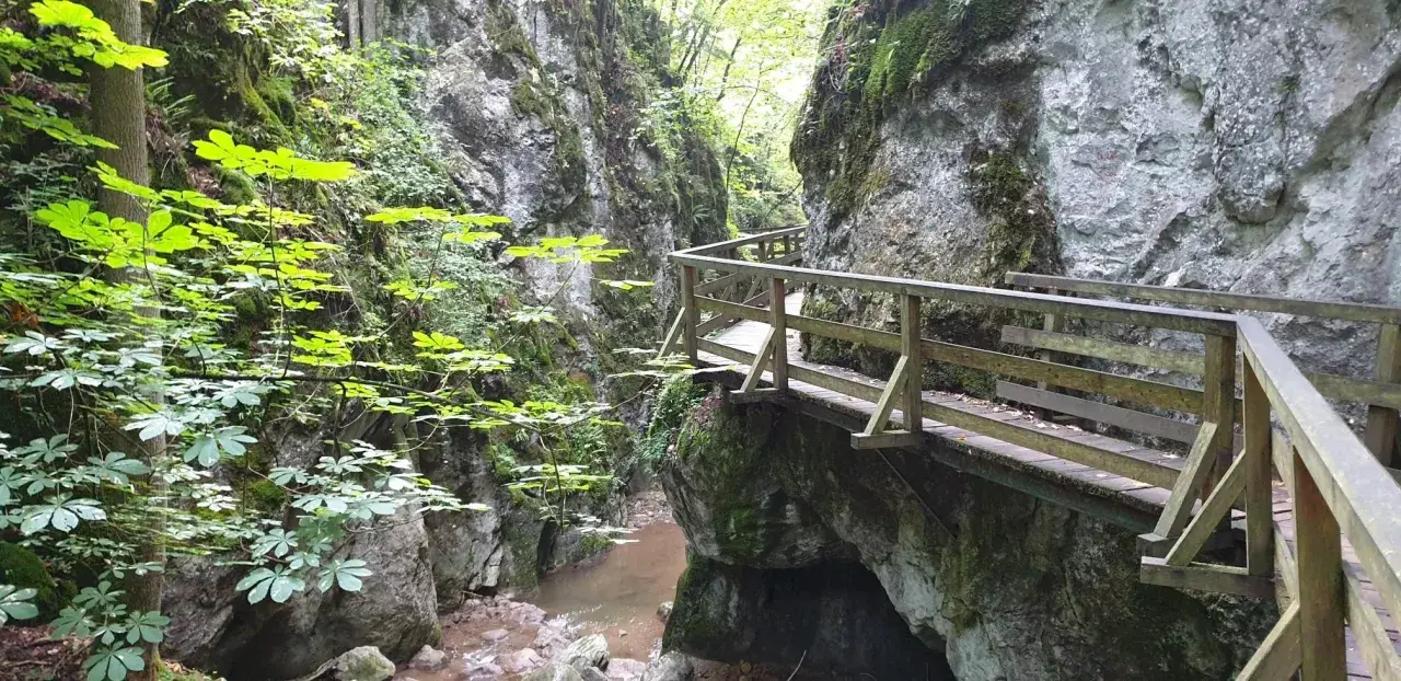 Holzstege führen durch eine grüne Klamm. Ein Bach plätschert unter den Felsen. Perfekt für eine Klamm Wanderung.