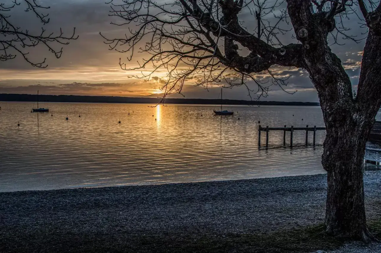 Sonnenuntergang am Ammersee. Ein Baum im Vordergrund, Boote auf dem Wasser und ein Steg.