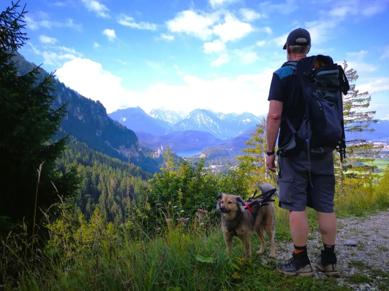 Mann mit Hund genießt Aussicht beim Tegelberg wandern Rundweg. Majestätische Alpen und ein Schloss im Tal.