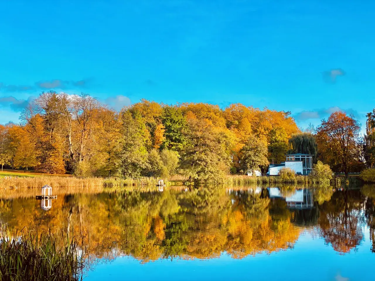 Herbstliche Farben im Schlosspark Putbus spiegeln sich im ruhigen Wasser. Ein Pavillon und ein modernes Gebäude sind zu sehen.
