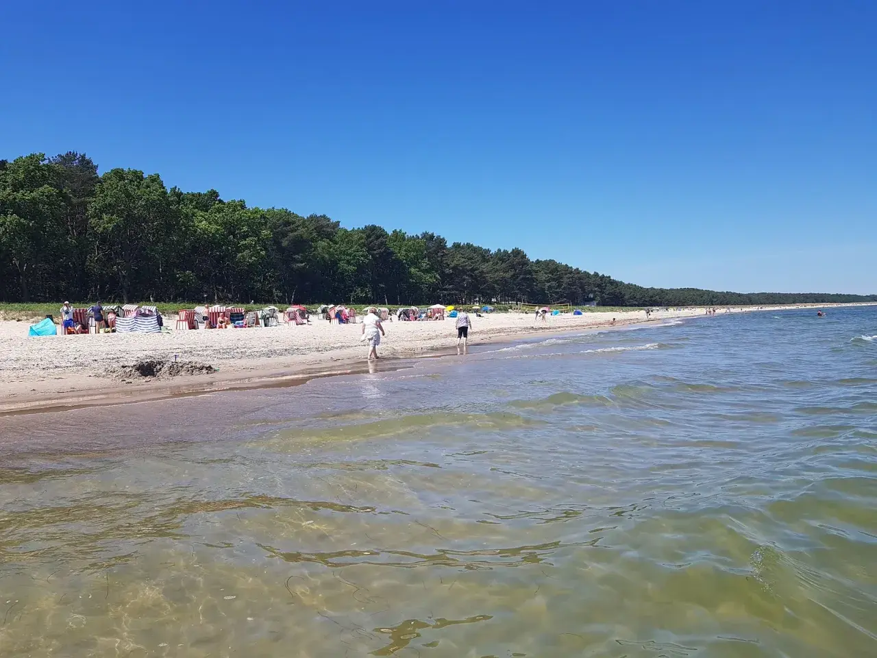 Sonniger Tag am Thiessow Strand mit vielen Strandkörben, Menschen und einem ruhigen Meer.