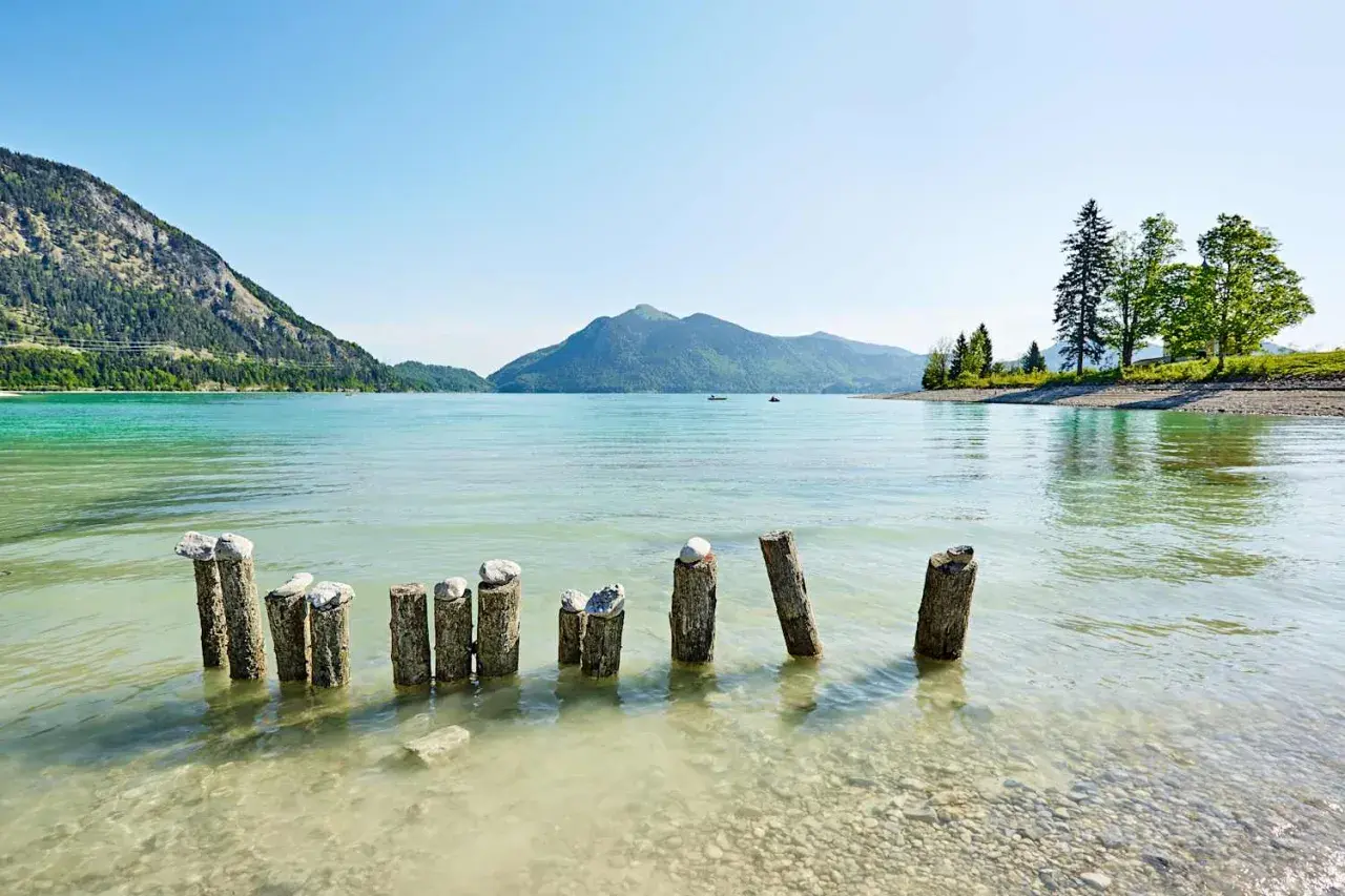Holzpfähle ragen aus dem klaren Wasser des Walchensees in Bayern. Berge und Bäume säumen das Ufer unter blauem Himmel.