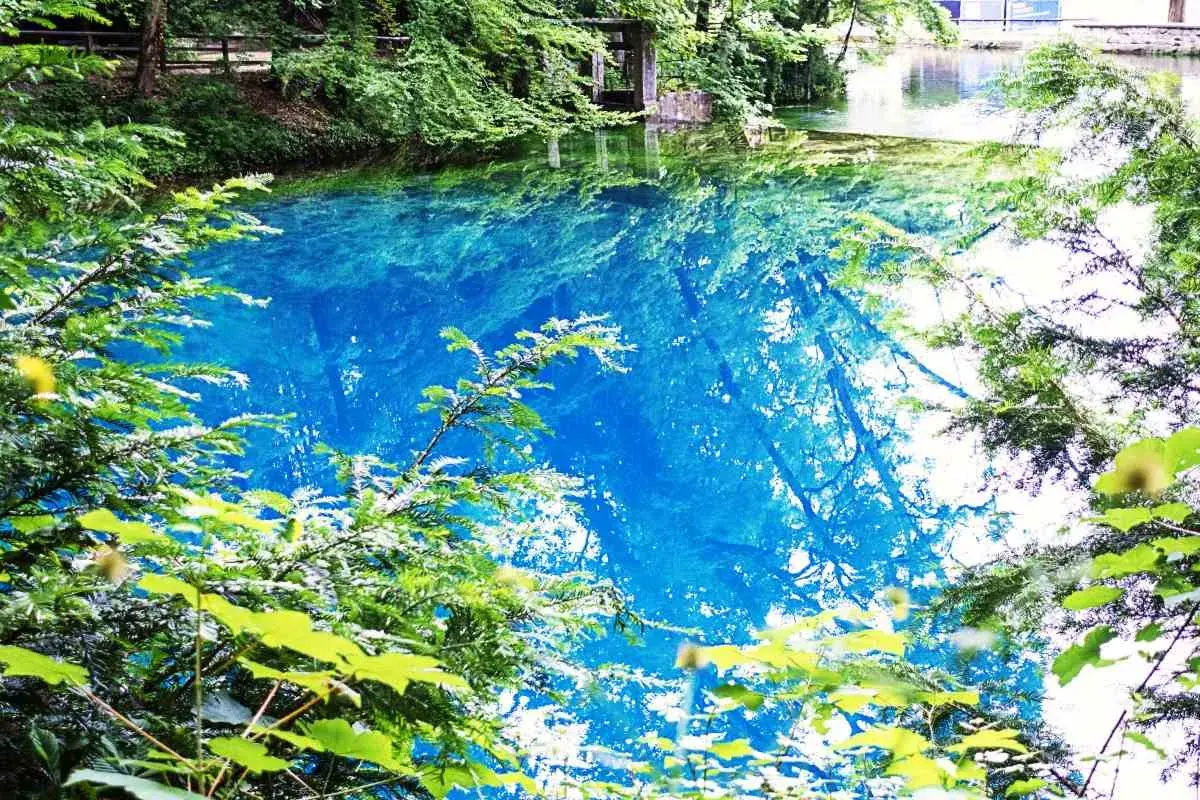 Der Blautopf in Blaubeuren, ein Naturwunder mit tiefblauem Wasser, umgeben von üppigem Grün und spiegelnden Baumkronen.