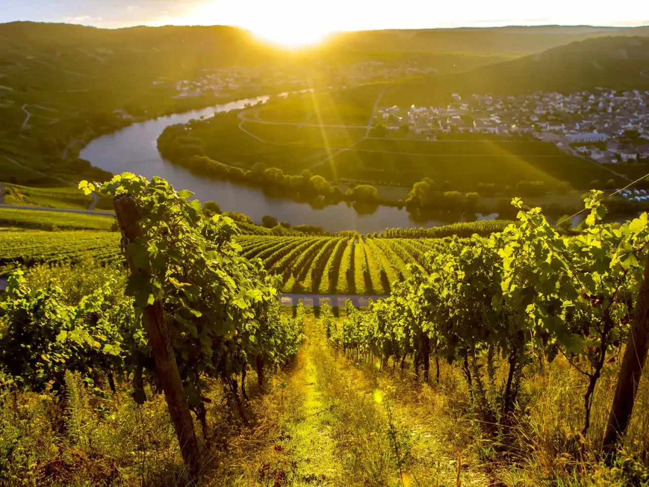 Sonnenuntergang über Weinbergen und Fluss. Ein malerisches Dorf liegt eingebettet in der Landschaft. Perfekt für Geheimtipps Reiseziele.