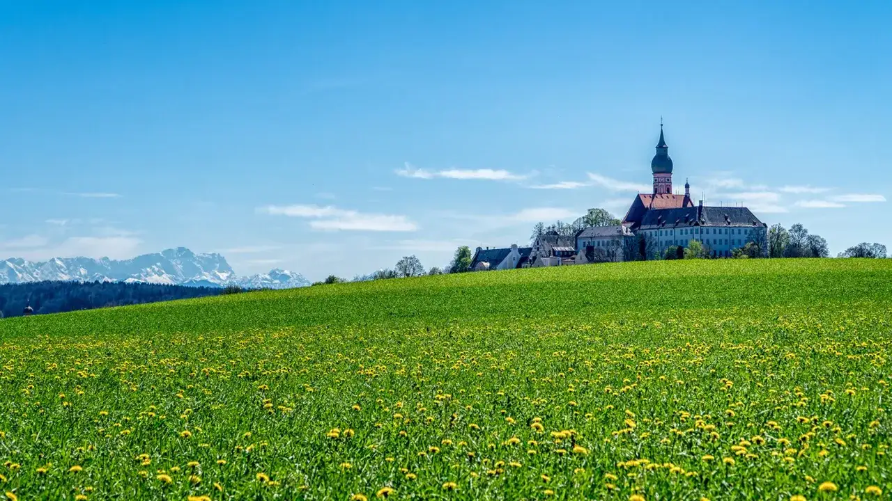 Gr&uuml;nes Feld mit L&ouml;wenzahn, Kloster Andechs und schneebedeckte Ammersee Berge im Hintergrund.
