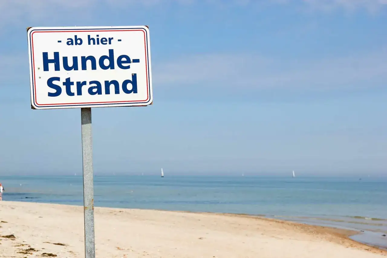 Schild 