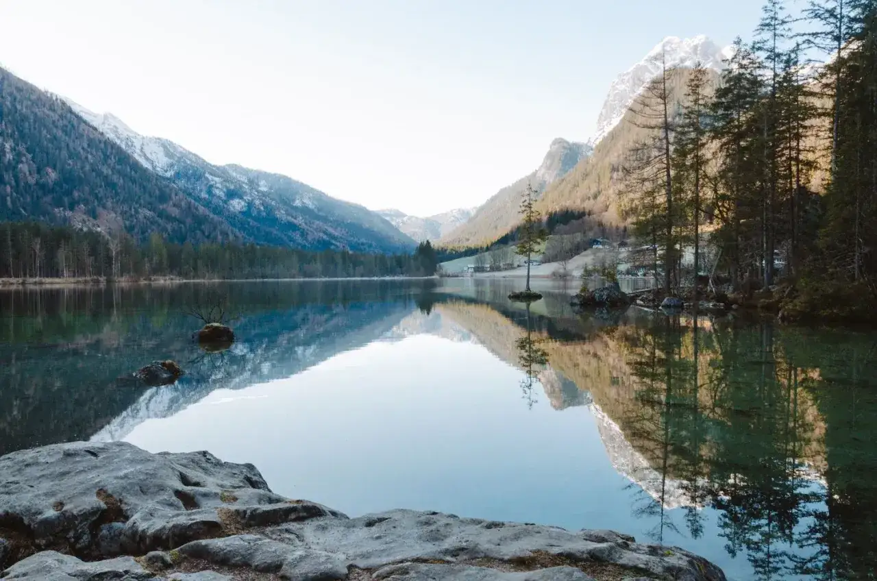 Spiegelglatter See mit Berg- und Waldkulisse, ein einsamer Baum auf einer kleinen Insel. Ein echter Geheimtipp für Naturfreunde in Deutschland.