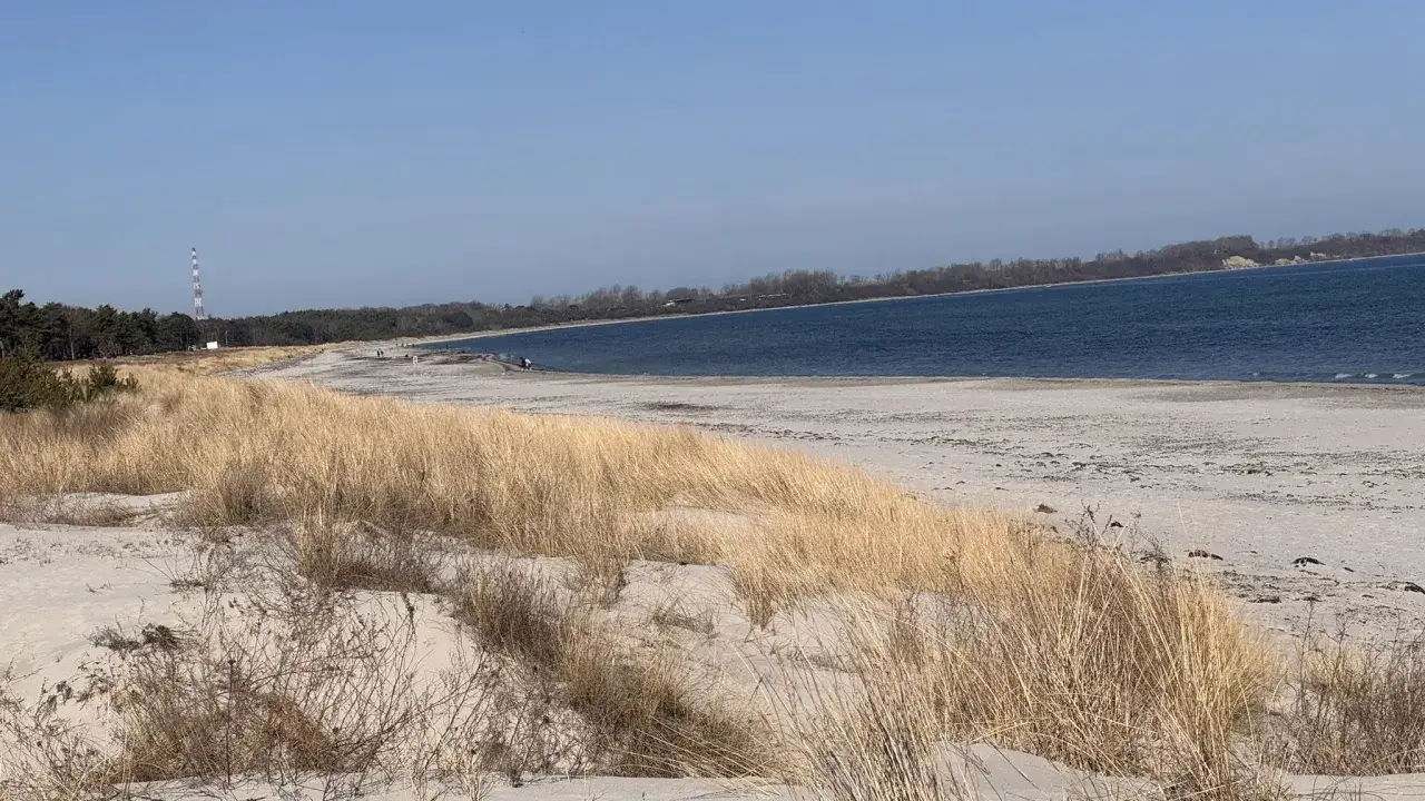 Sonnenlicht auf dem Breeger Bodden. Hohes Gras wiegt sich im Wind am Sandstrand, im Hintergrund ein Leuchtturm und eine bewaldete Küste.