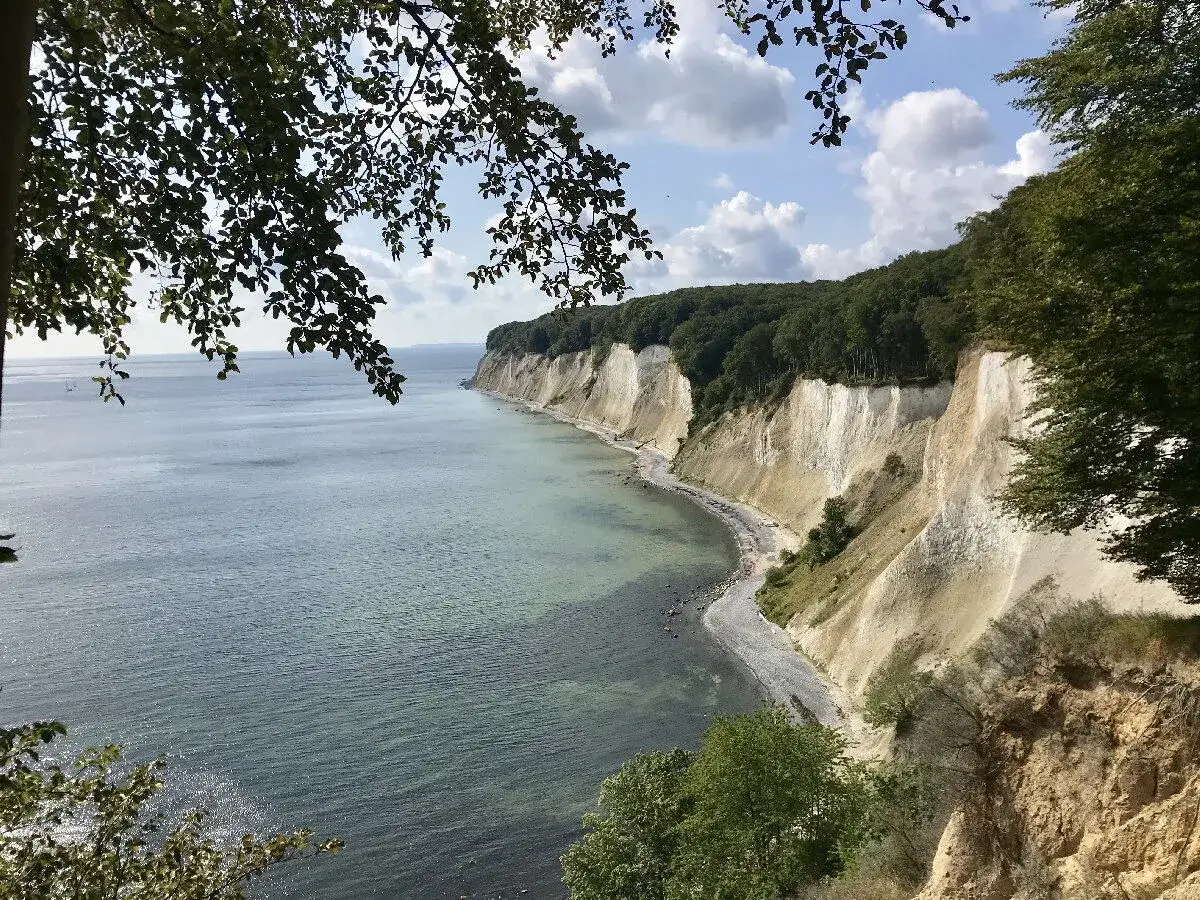 Weiße Kreidefelsen und grüner Wald, die ins Meer abfallen. Hier liegt Sassnitz, ein malerischer Ort an der Ostsee.