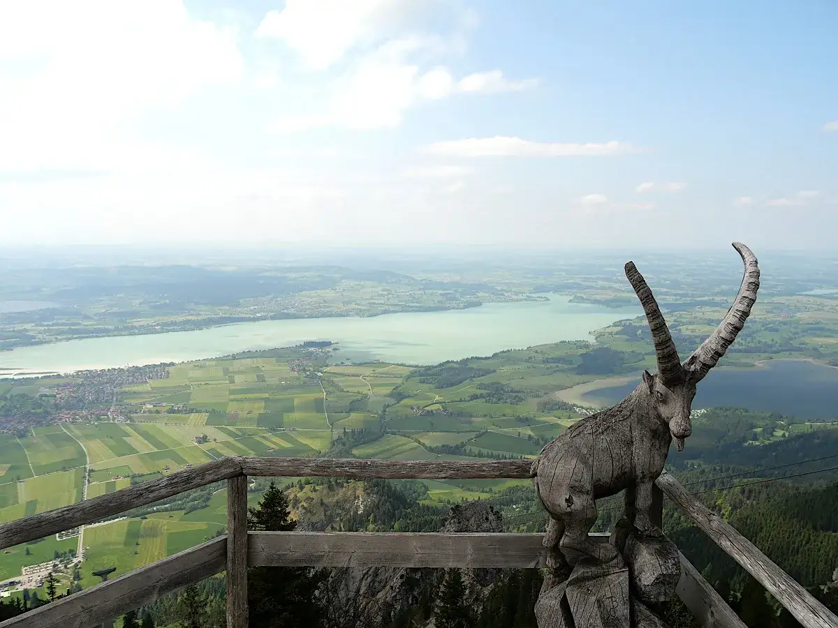 Holzfigur eines Steinbocks am Tegelberg, mit Blick auf Seen und Alpenvorland. Perfekt für einen Tegelberg Wander Rundweg.