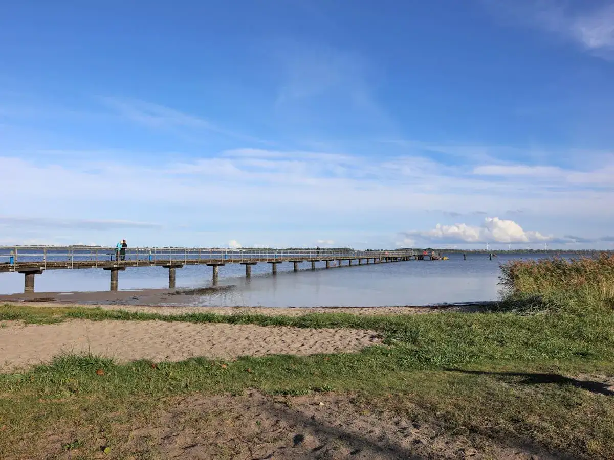 Ein langer Steg erstreckt sich &uuml;ber ruhiges Wasser. Die dranske strandpromenade l&auml;dt zu einem Spaziergang ein, w&auml;hrend im Hintergrund Schilf und eine weite Landschaft zu sehen sind.