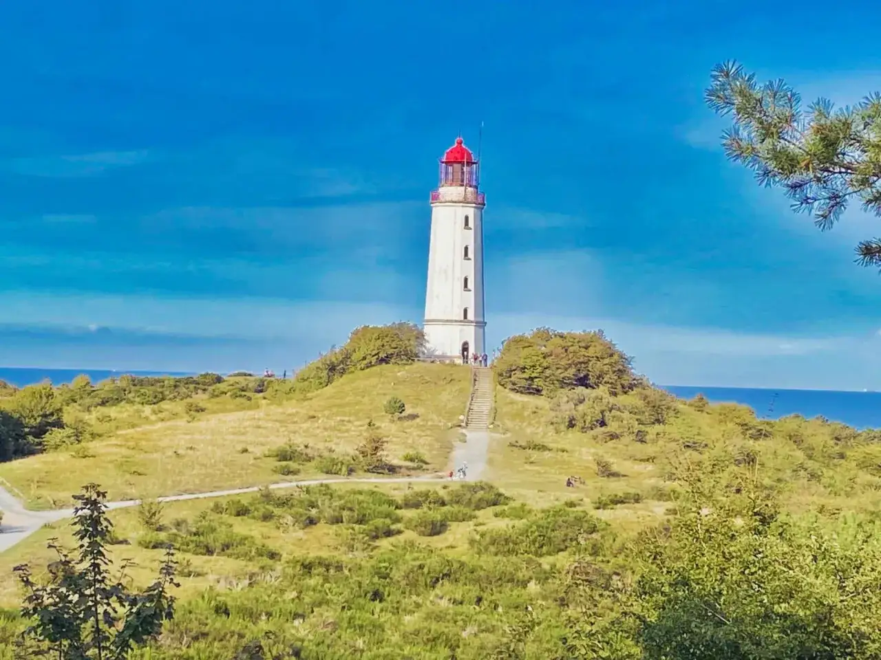 Leuchtturm Dornbusch auf Hiddensee, ideal für eine Fahrradtour. Ein weißer Turm mit rotem Dach, umgeben von grünen Hügeln und dem blauen Meer.
