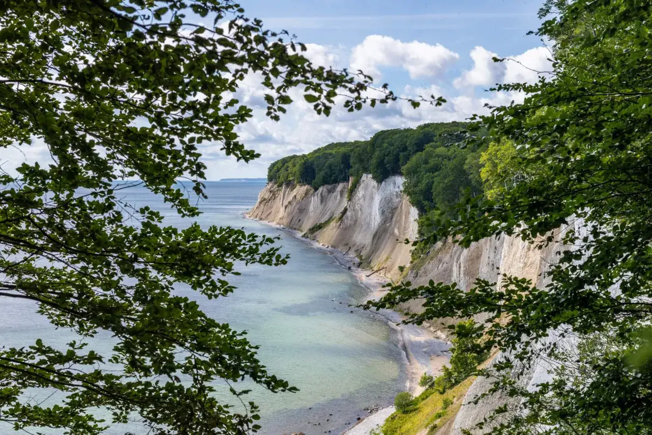 Grüne Baumkronen umrahmen die Kreidefelsen im Nationalpark Jasmund. Das Meer schimmert türkisblau.