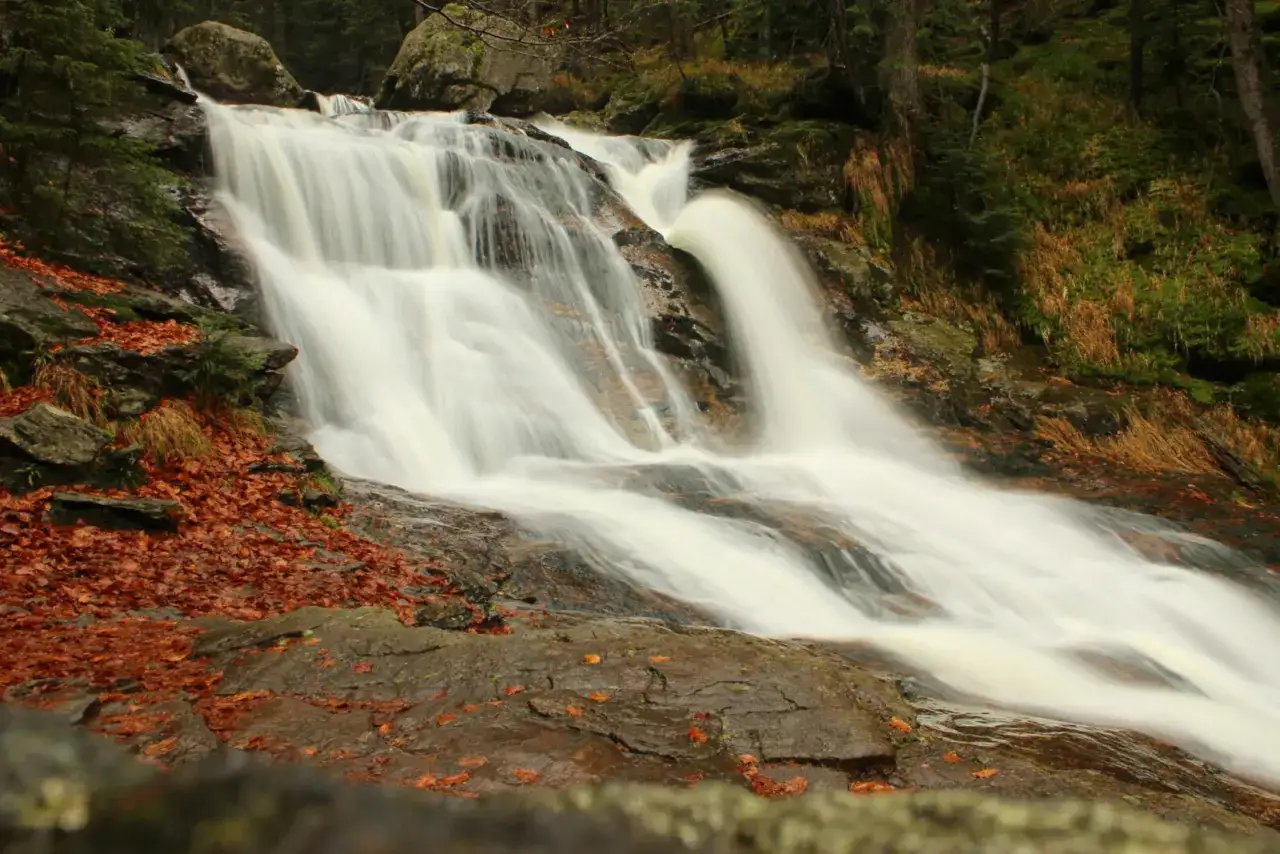 Sanfter Zwiesel Wasserfall flie&szlig;t &uuml;ber moosbewachsene Felsen, umgeben von Herbstlaub und dunklem Wald.