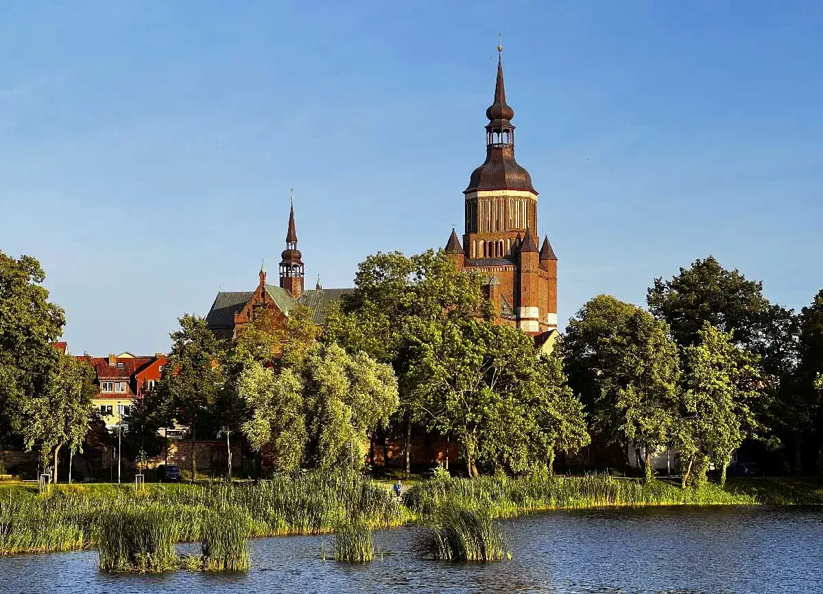 Zwei imposante Backsteinkirchen ragen über Bäume und Schilf am Wasser empor. Ein malerischer Anblick, der Stralsund sehenswert macht.
