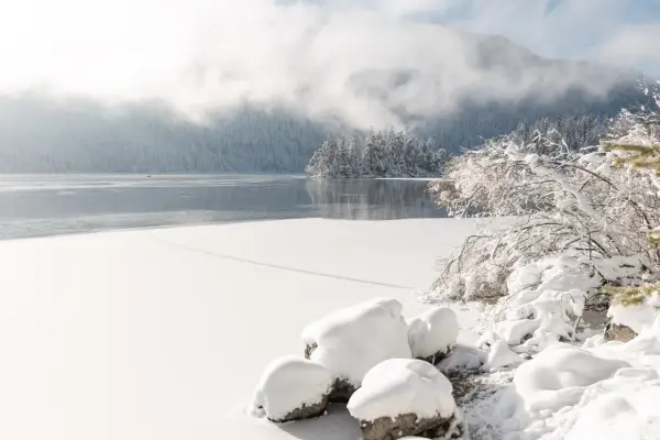 Eibsee winter: Eisbedeckter See, schneebedeckte Bäume und Berge im Nebel. Ein friedlicher Anblick.